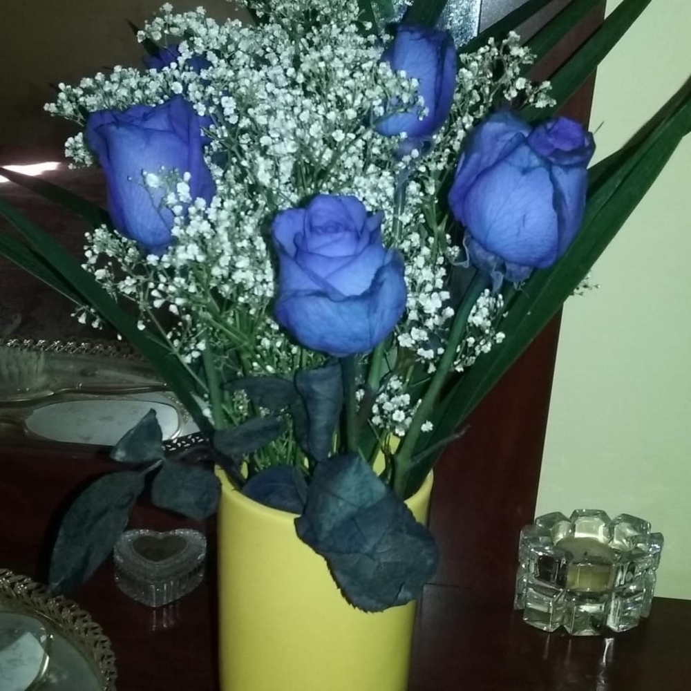 Meet your Posher, Sonia